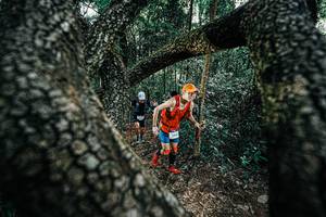 BIB: 
                            <button type="button" onclick="openModal(25392020)" class="btn btn-primary btn-sm float-right btn-popup" data-toggle="modal" data-target=".modal-high-quality">
                        <i class="fas fa-shopping-cart"></i> Add to Cart
                    </button>
                                            <button type="button" onclick="isThisMe(25392020, true)" class="btn btn-success btn-sm float-right btn-popup btn-isme hidden" data-toggle="tooltip" data-placement="bottom" title="นี่คือรูปของคุณใช่ไหม คลิกที่นี่เพื่อเอาเข้าอัลบั้ม">
                        <i class="fas fa-plus"></i> Add to album
                    </button>
                    <button type="button" onclick="isThisMe(25392020, false)" class="btn btn-warning btn-sm float-right btn-popup btn-isnotme hidden">
                        <i class="fas fa-ban"></i> Remove from album
                    </button>